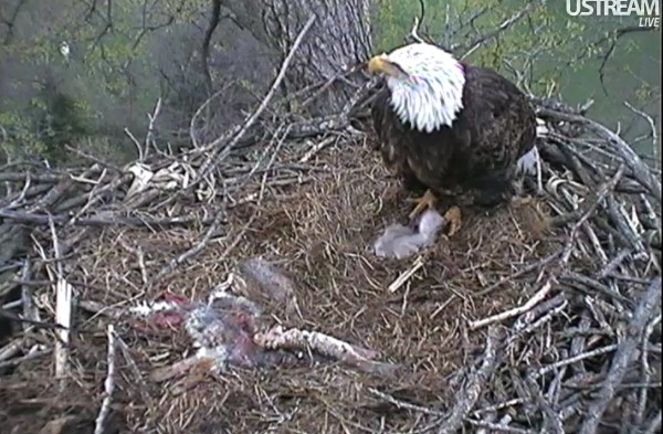 ScreenHunter_48 Mar. 31 20.37.jpg